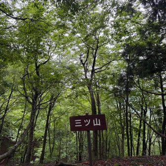 三ツ山🪧