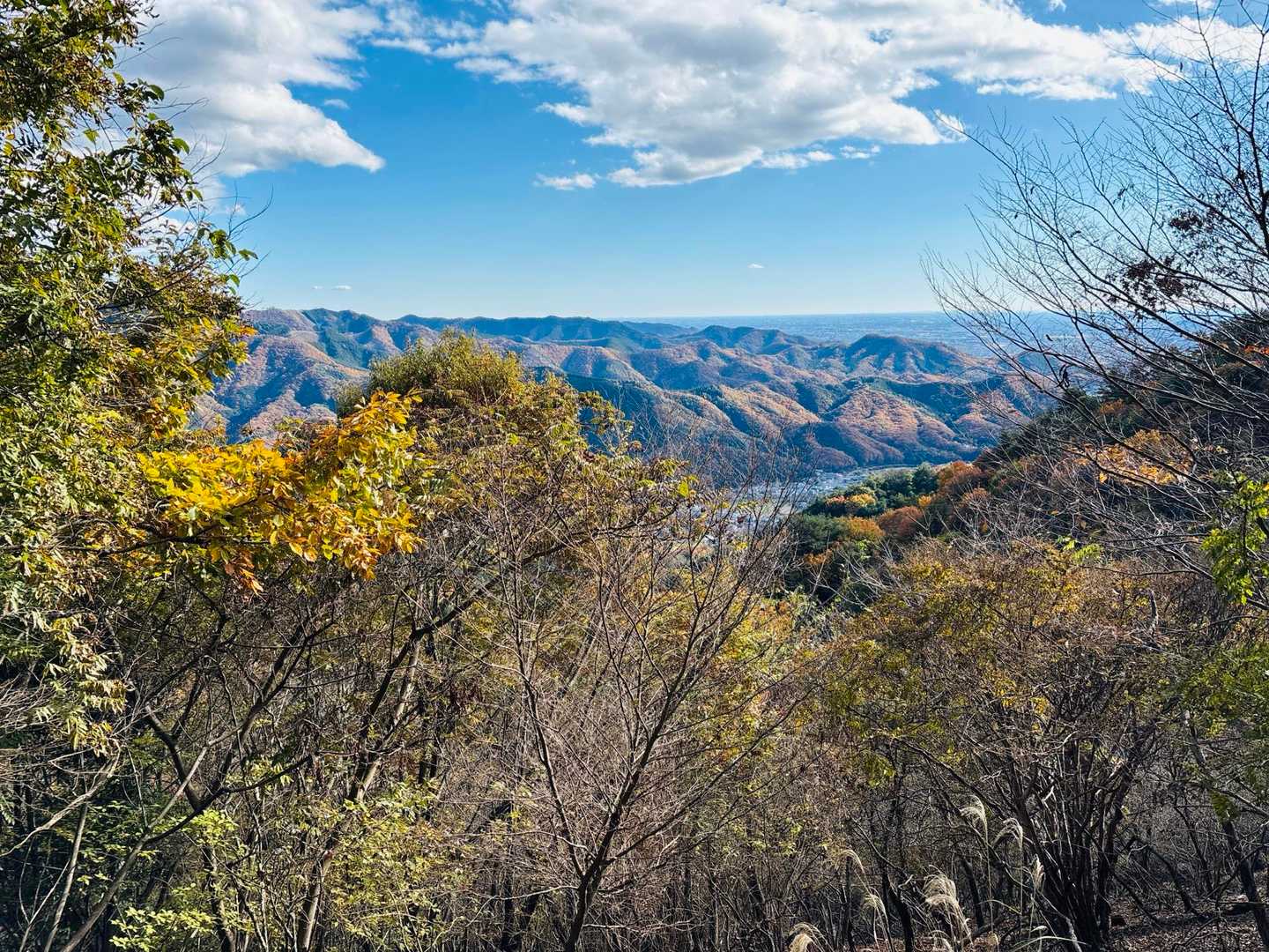 駒形登山口-鳴神山-花台沢ノ頭-三峰山-金沢峠-大形山-吾 縦走コースの写真