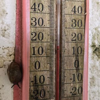 １７℃