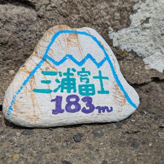 この辺の活動日記を拝見するとよく目にするオブジェクト。