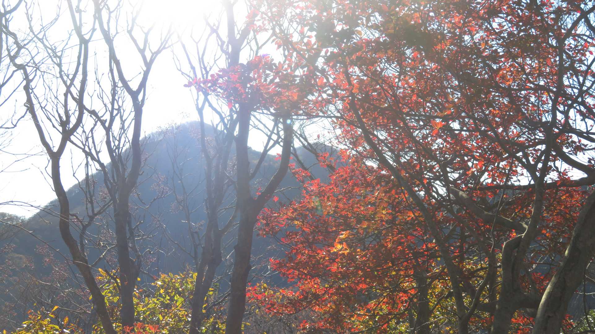 次に目指す三国岳と紅葉