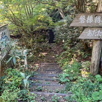 遊歩道は、歩道が壊れて通禁です。