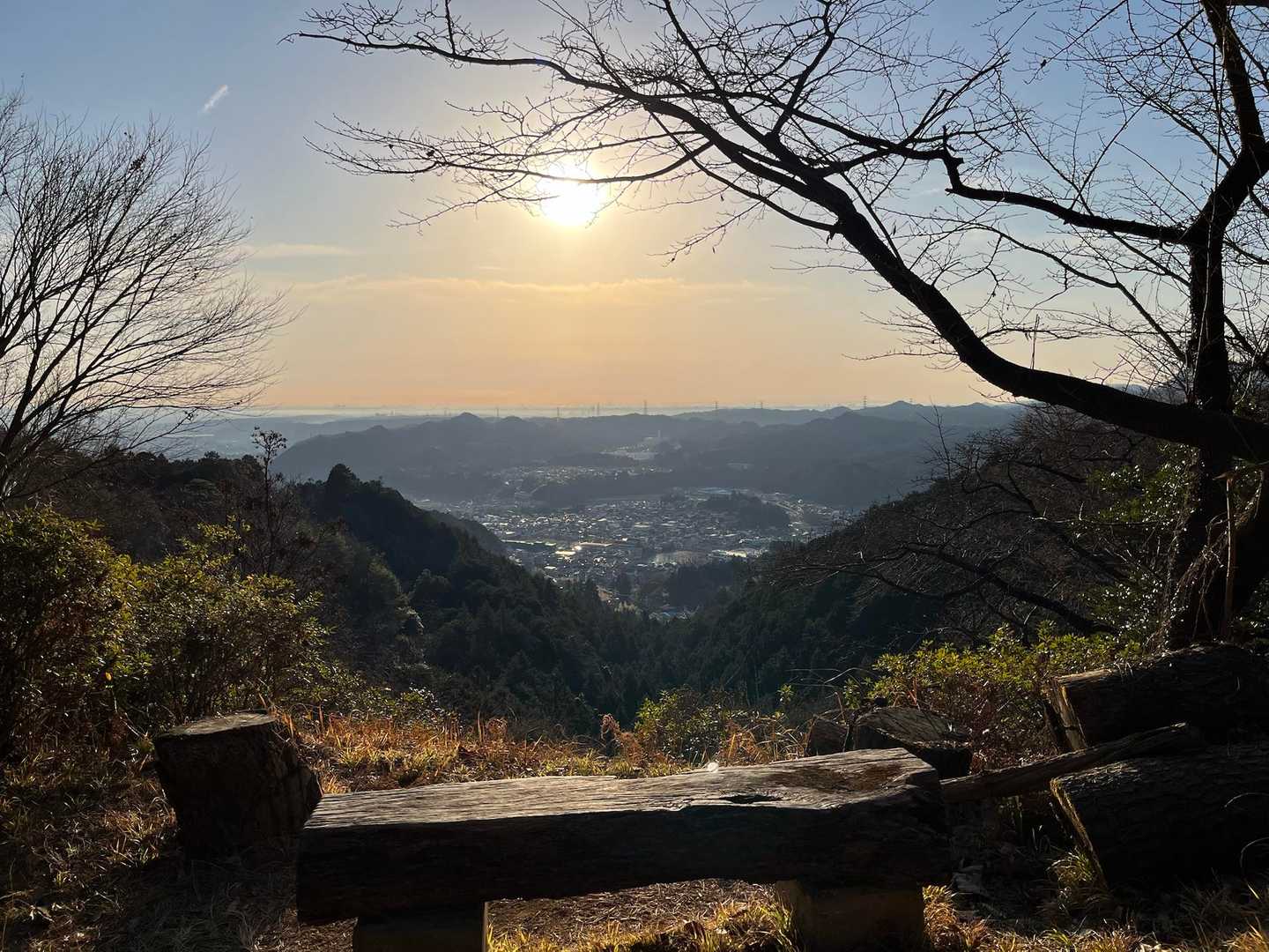 これも