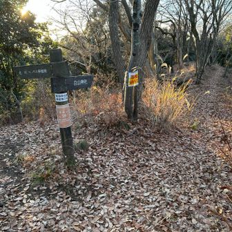 白山神社⛩️に向かいます