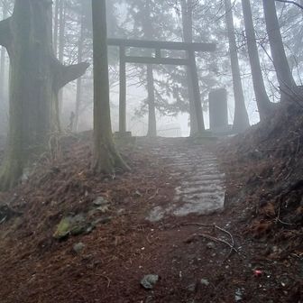 大杉の所
奥の院へ分岐です
雨がポツポツ…雨具出す
