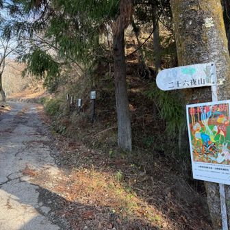 ココから登ります