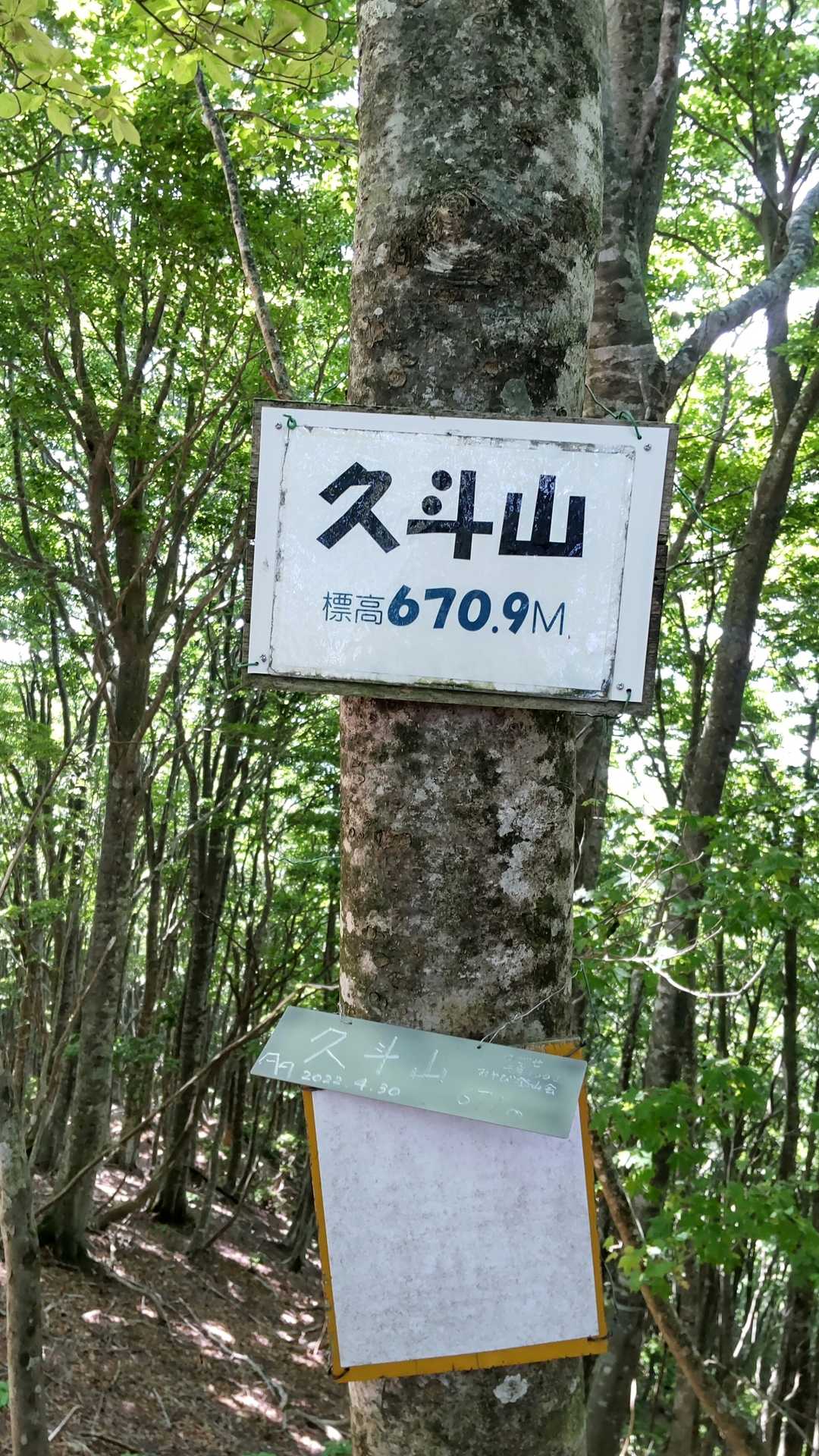 蓮台山登り口-蓮台山-久斗山-久斗山 縦走コースの写真