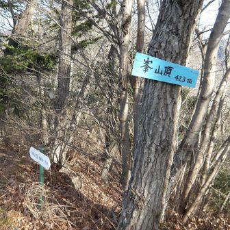 峯山頂。標高423m。

藤野環境協会のサイトによれば金剛山から峯、八坂山、杉峠を経て日連山、宝山と続く山々を「日連アルプス」と呼ぶそうです。