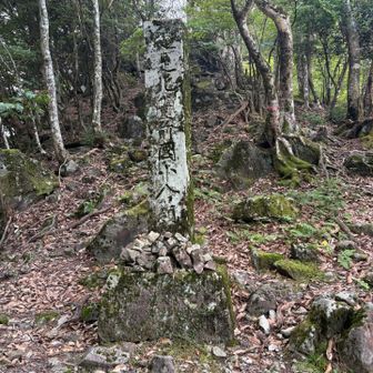ここからサバイバルの始まり