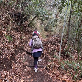 こちらからの弘法山は初めて。
なかなかの登山道なんですねー！