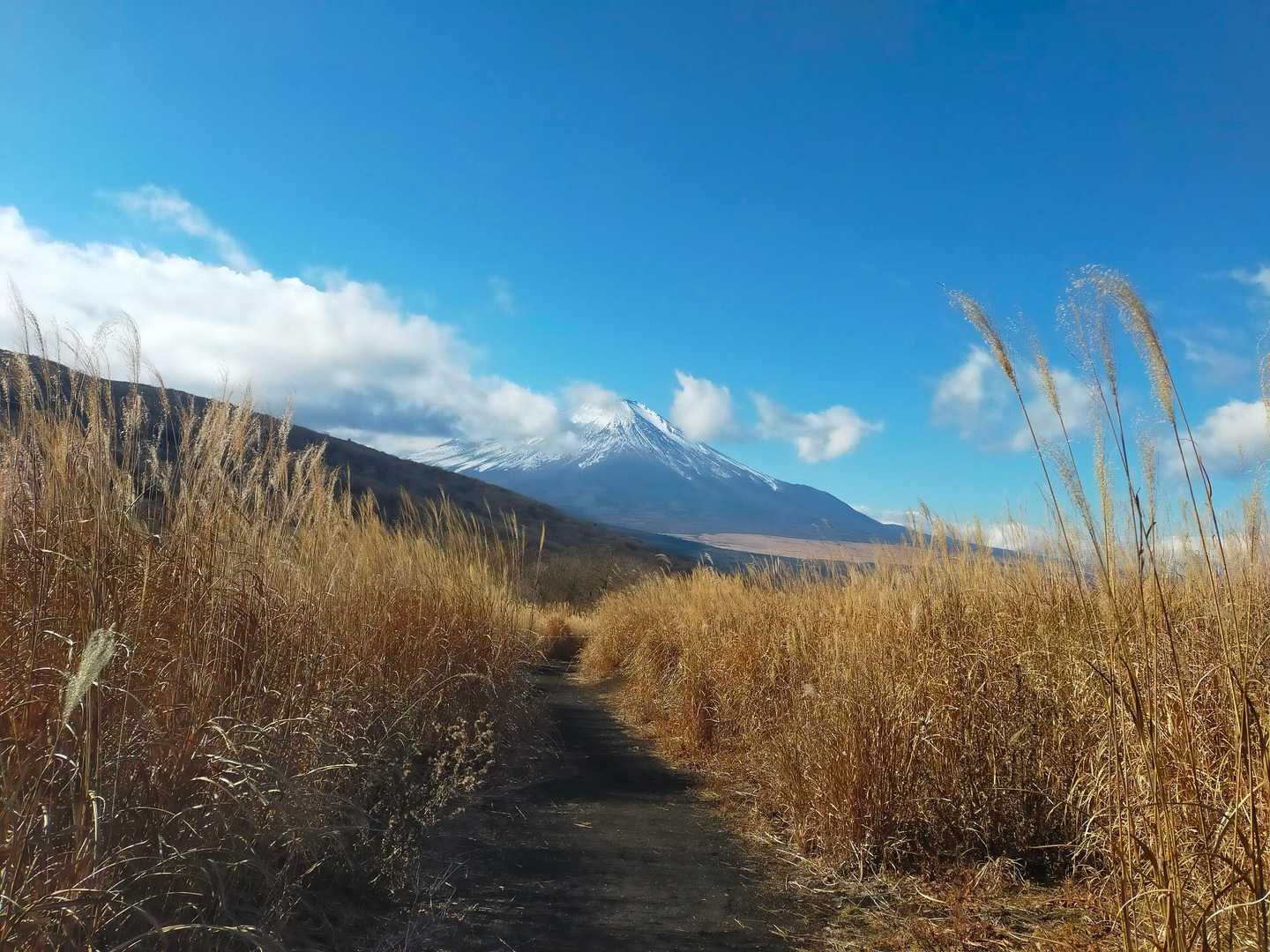 籠坂峠バス停-アザミ平-大洞山-楢木山-三国山-三国峠-鉄 縦走コースの写真