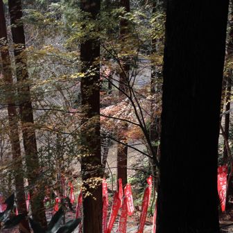 ステップの狭い 急な石段を下ります