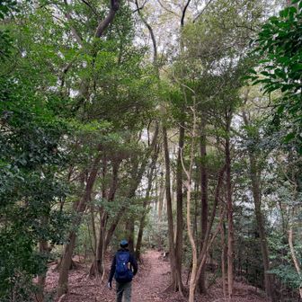 のんびり下山します🚶‍♀️