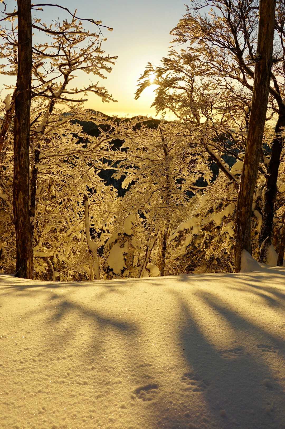 雪もキラキラ✨