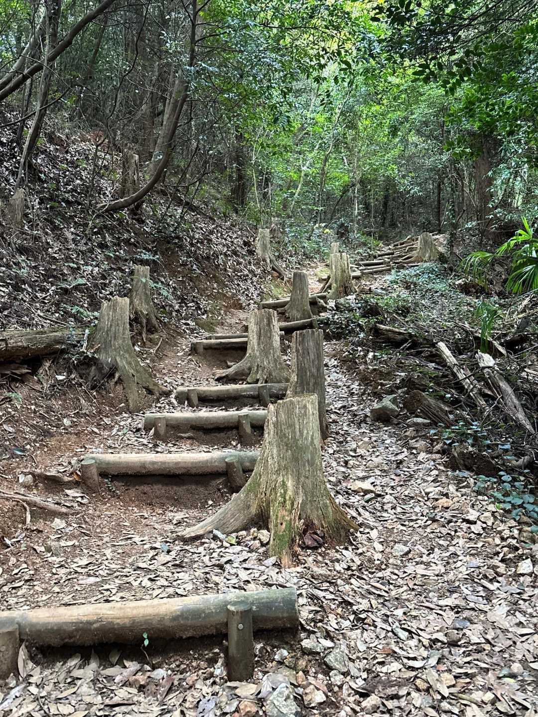 このような登山道です
全体的に歩きやすくたくさんの方とすれ違います