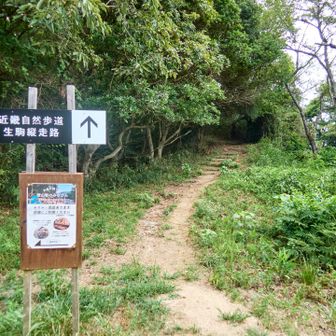 鳴川峠までもうひといき。