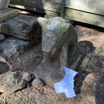 大岳神社の狛狼　何となく可愛い😄