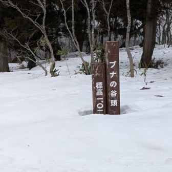 結構ピークあるね