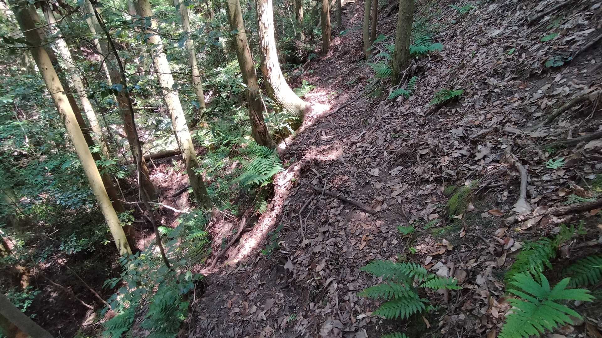 写真のところの前後が斜めってるところです。滑ることはなさそうでしたが、気を付けて行きましょう。