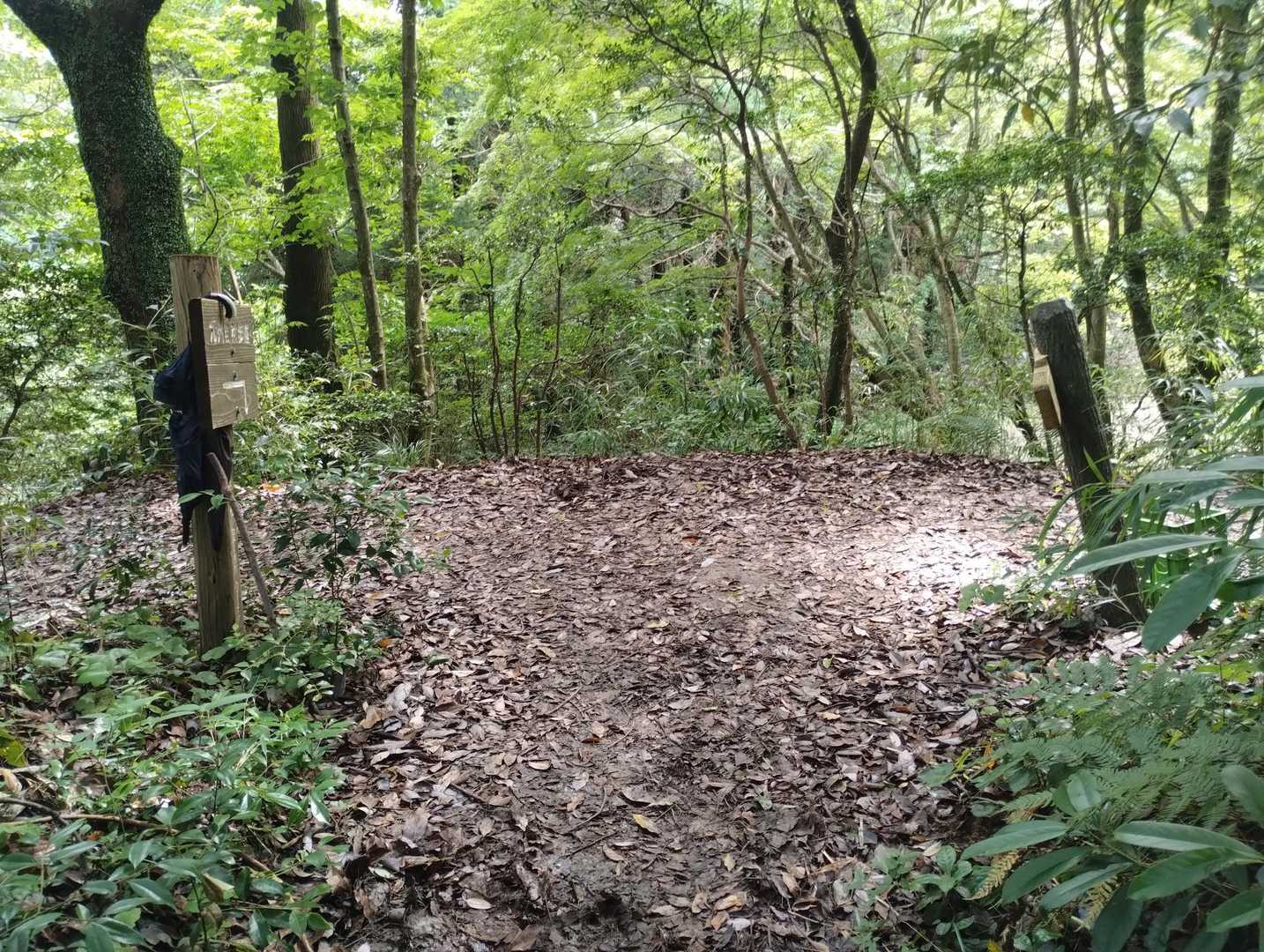 登山口まで下り・・⇦ へ❗️