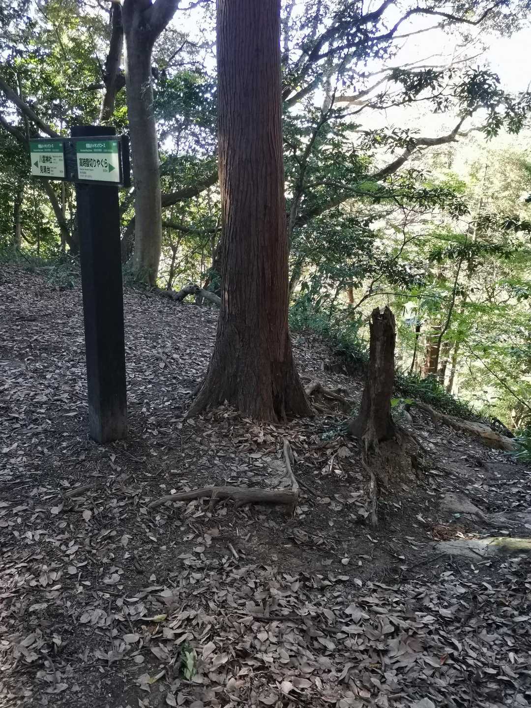 右の道を下りると比企一族のお墓がある妙本寺に着きます。祇園山ハイキングコースを歩くと、木々の隙間から妙本寺を見下ろすことができます。

このあとしばらくアップダウンの道が続きます。八雲神社に下りる直前に、行って来いの見晴らし台があり、厄除けの八雲神社におりて終了です。
そこそこ険しいですが、観光の人もちらほら歩いてました。