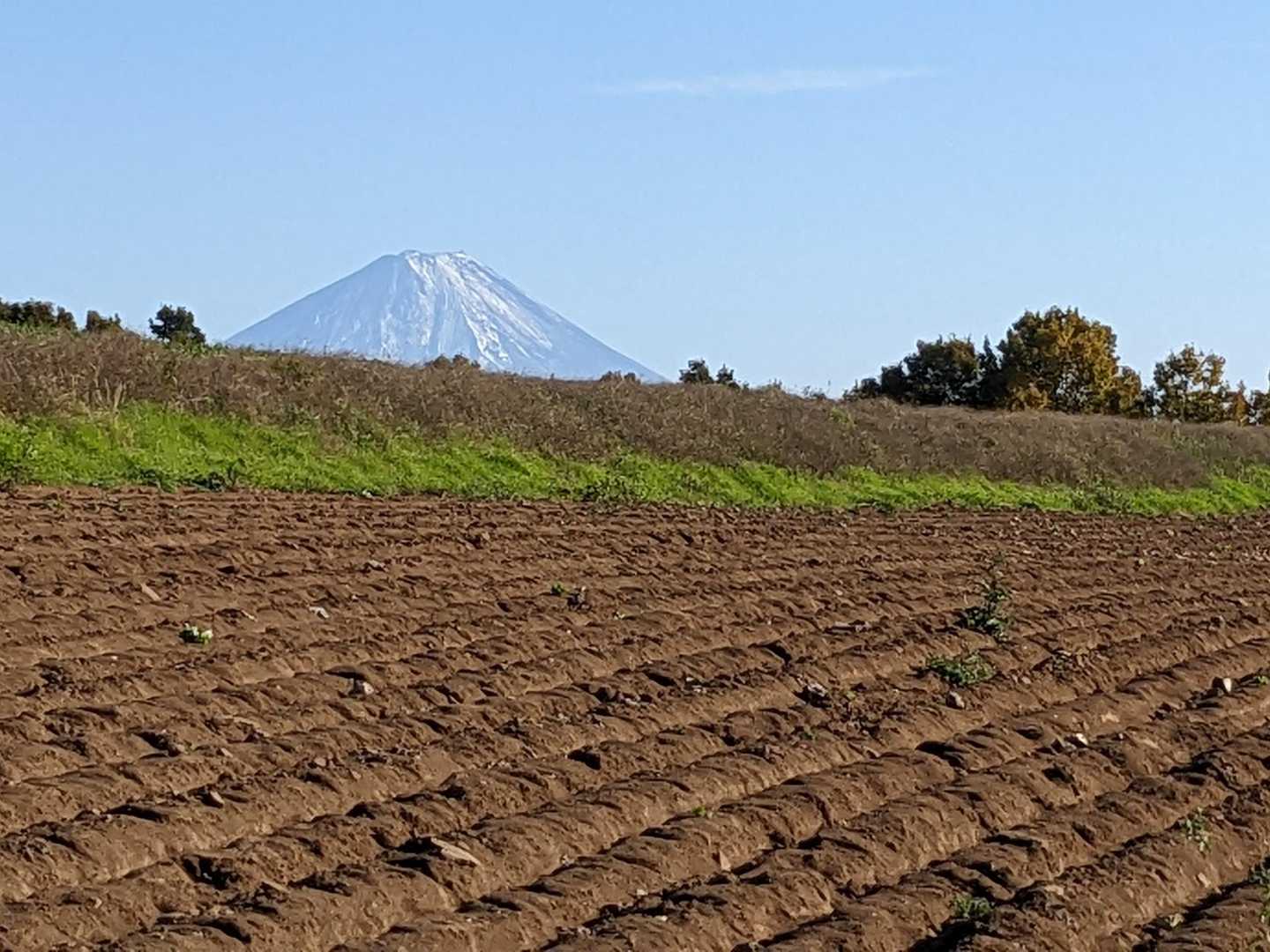 ひょっこり🗻