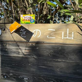 王道➕風で落ちる笑