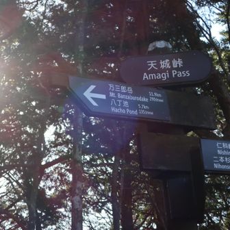 割とすぐに天城峠。
川端康成の伊豆の踊子の舞台は、この峠ではなく、下の天城山隧道らしい。