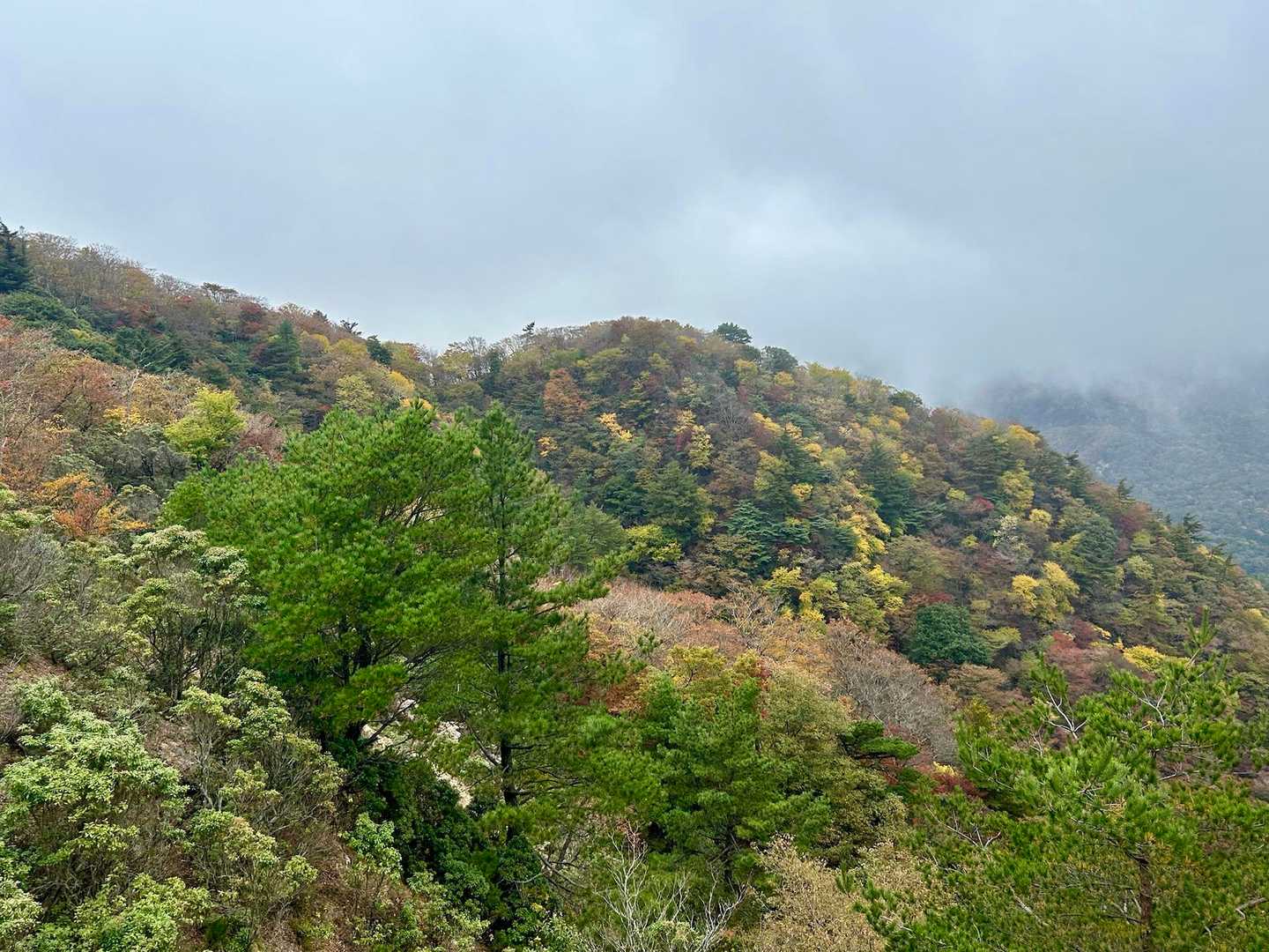 景色が広がる
紅葉もキレイだね🍁