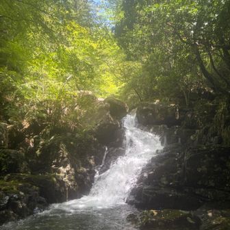 運動不足です
応えてきました
