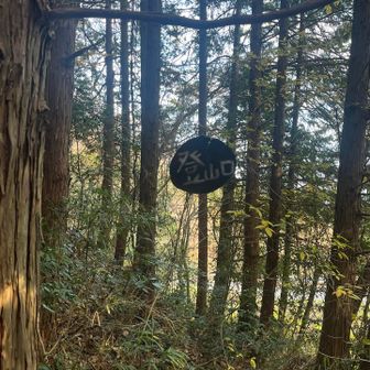 早速オブジェが