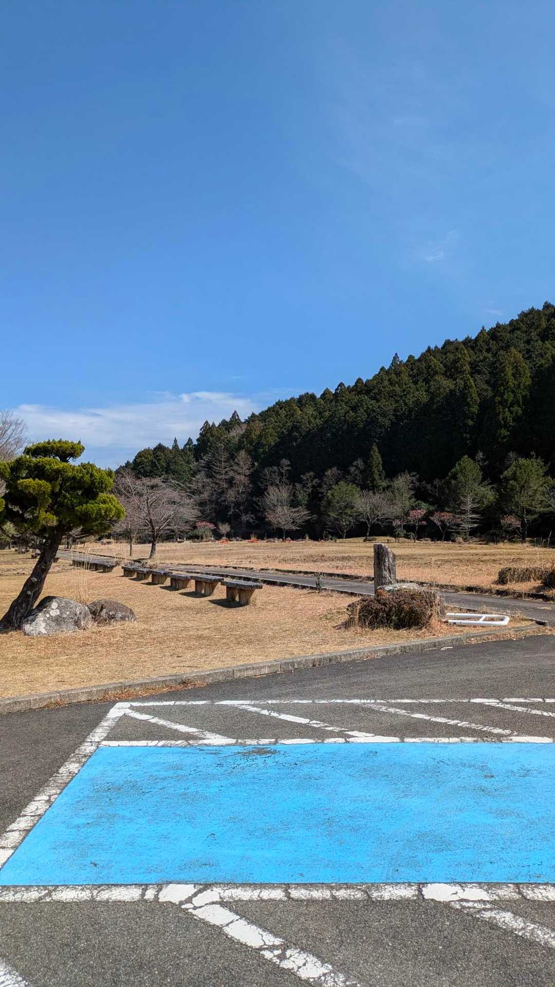 1977年全国植樹祭が催され、記念に公園として整備されたそうです。
遊具は撤去されたのか見当たりませんでした。
こんなにも広い公園、誰もいないなんてもったいない。