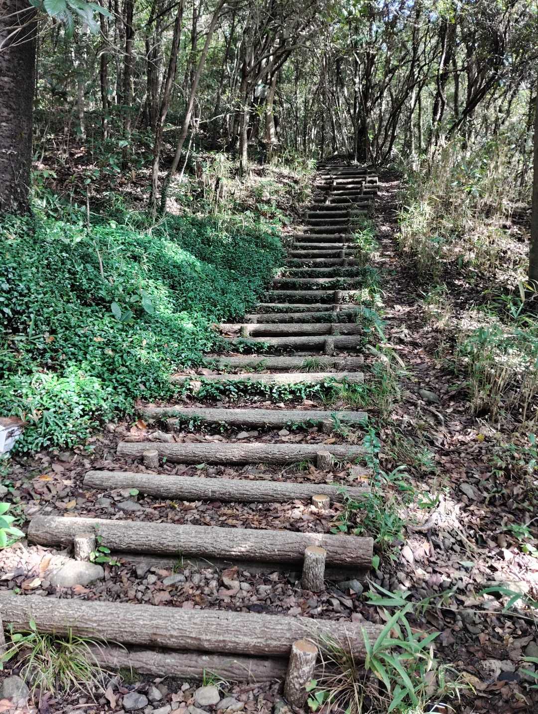 飯山町登山口-飯野山 往復コースの写真