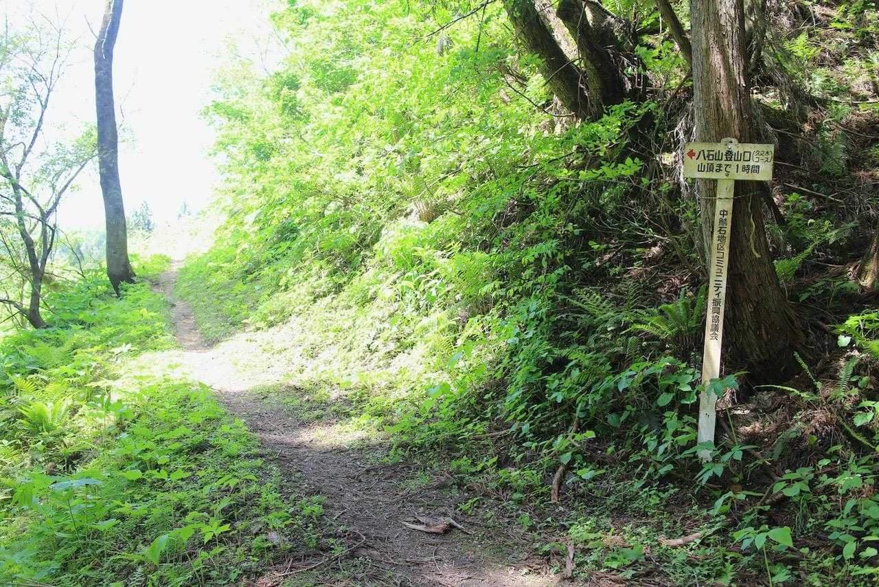 上八石山-八石山-久之木峠-南条八石山 周回コースの写真