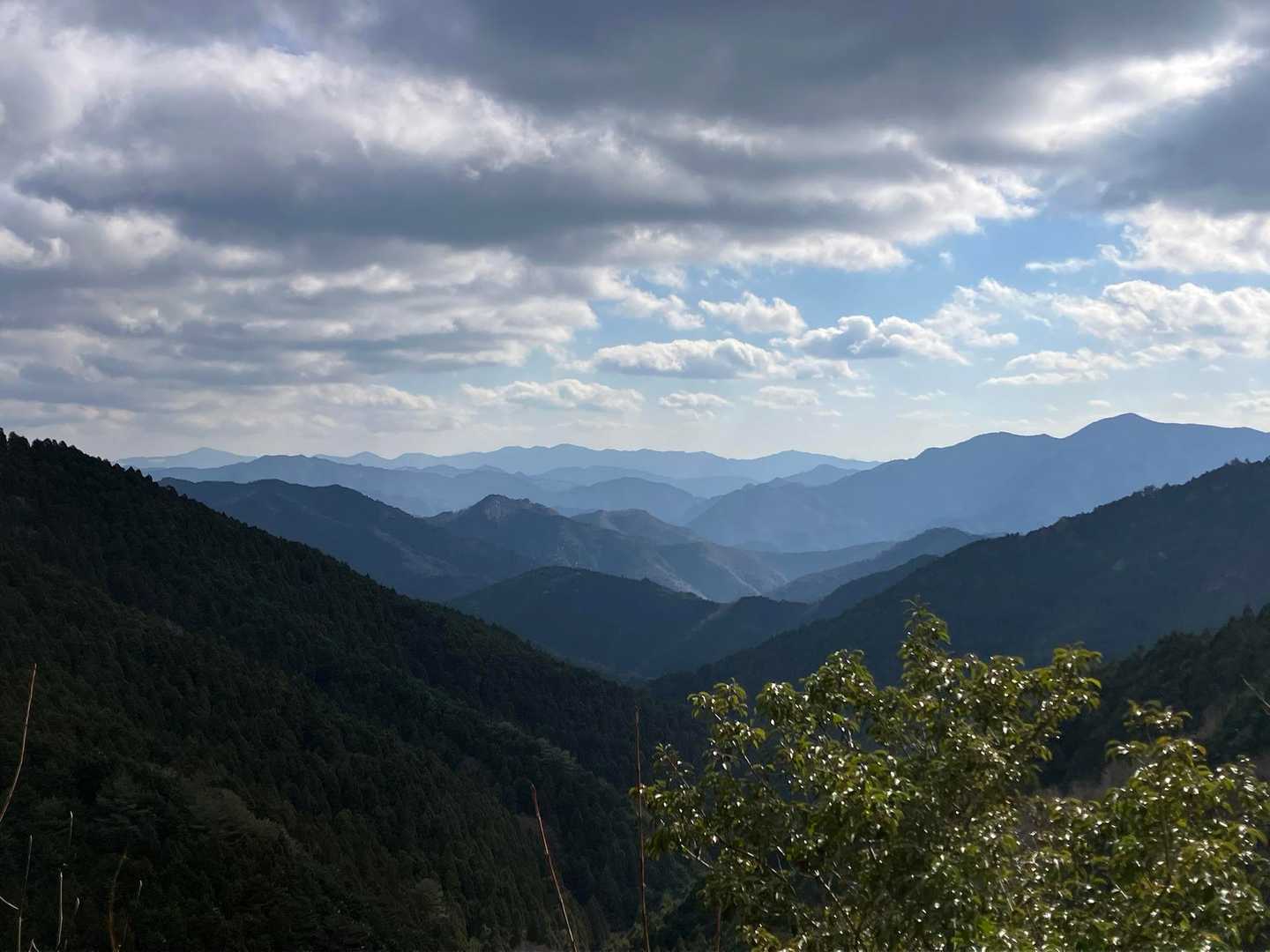 林道から東側の山並がよく見えました。