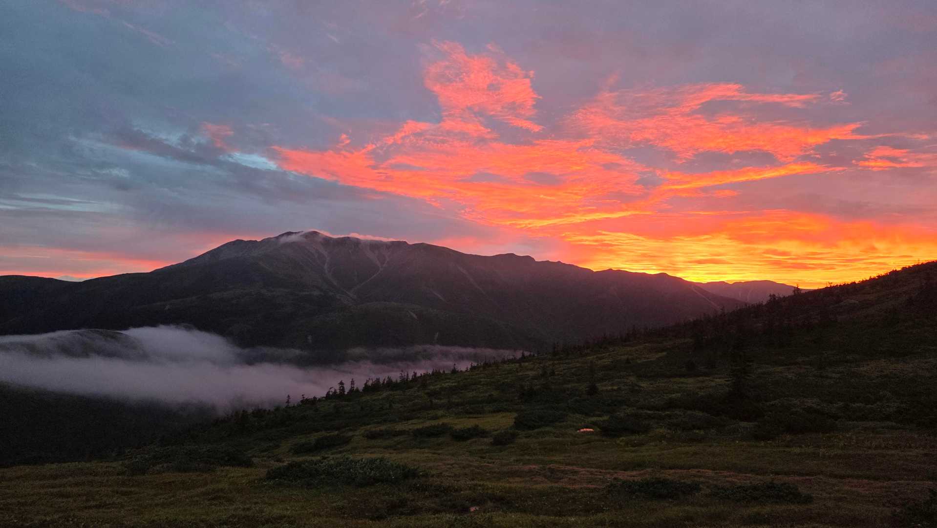 朝焼けタイム🌄