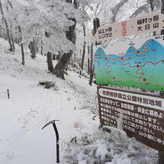 右に曲がると山上ヶ岳

ここから先は未踏ルート

レンゲ辻まで、ほぼ平行移動ですが、フィールドメモを確認すると少し不安

しかも一歩踏み出すとトレースがない