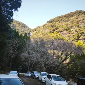 駐車場は、7台車が停まっていた。
気温６℃、風裏でほぼ風がない。
　ここまで夏タイヤで来れた。雪は全く無かった。スノーソックスは、使わずに済んだ。
