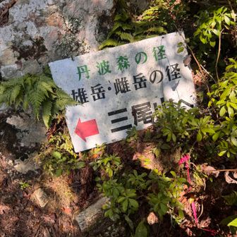もうすぐ着きますが、岩のアップダウンがキツすぎ…