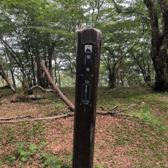 そして次々に山頂をつないでいきます。これは畑尾山。
