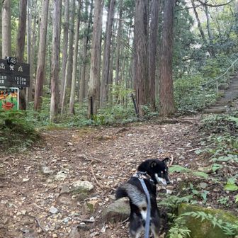 登山口↑行ってきます