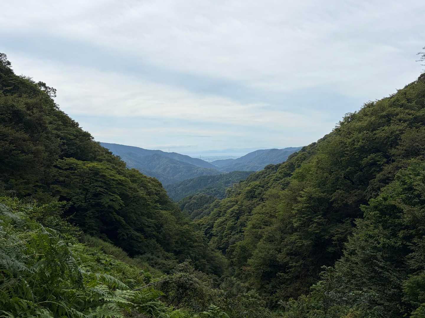 白谷登山口-横山岳-鳥越峠-エコチ谷登山口 周回コースの写真