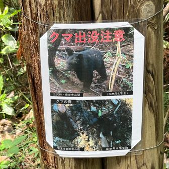 正にこの辺り…