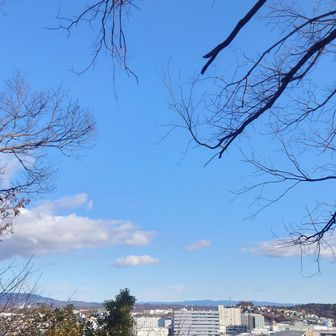 親鸞山山頂からの景色
