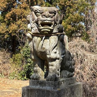 狛犬らしい怖いお顔の狛犬🫨

阿