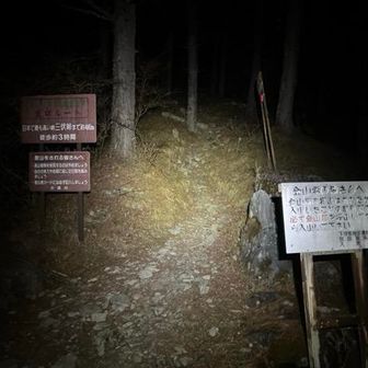 今年は雪無いね〜