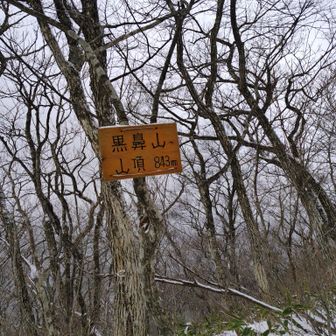 黒鼻山山頂到着