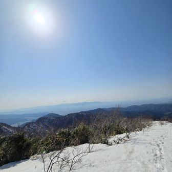 霞んで、太陽もぼんやり