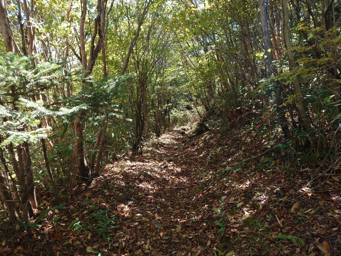 四差路まで戻って、鉄塔巡視路をおりる