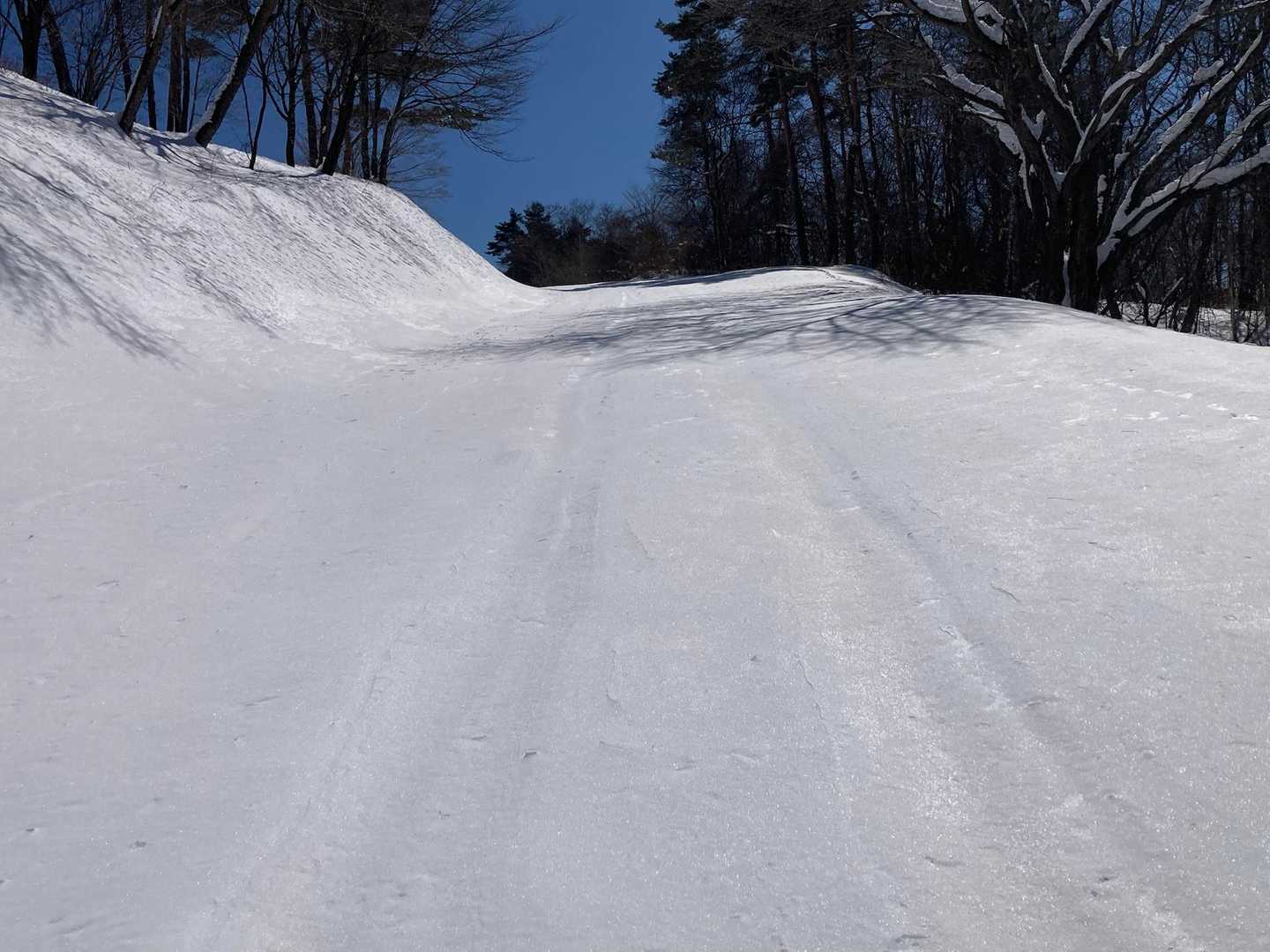 山頂付近トレースがなく
